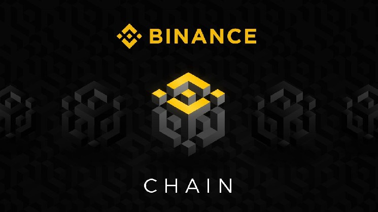 
			BNB Chain стал наикрупнейшим блокчейном для ИИ-агентов		