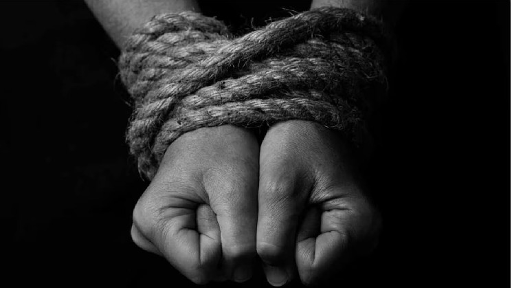 
			Дело о большом хищении биткойнов закончилось признанием виновности в связи с комплотом с применением насилия		