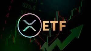 
			ETF на XRP зафиксировали самый большой дневной отток средств в истории		