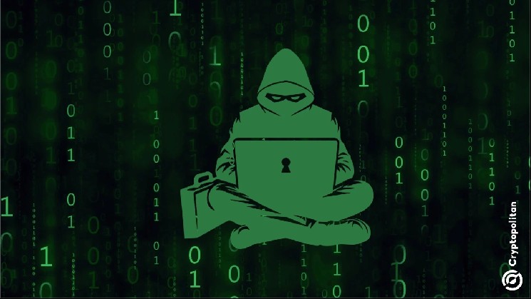 
			Из BonkDAO откачали 20 миллионов долларов в итоге нападения на систему управления, BONK падает		