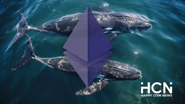 
			Большие держатели накопили больше 510,000 ETH после падения актива ниже $1,600		