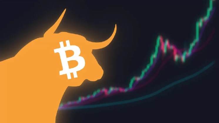 ПОСЛЕДНИЕ НОВОСТИ: После заявлений Дональда Трампа об Иране bitcoin превысил отметку в 71 000 долларов!
