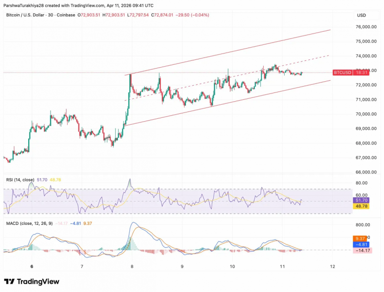 
			Прогноз цены bitcoin: BTC держит возрастающий канал, так как приток ETF в $598 млн задач добивается $74,000		
