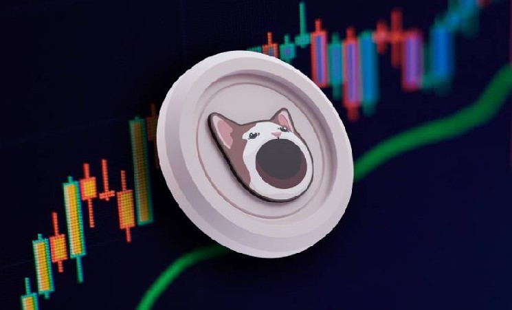 Расследование Specter: BTX Capital и ее глава Ванесса Цао подозреваются в манипуляциях на рынке POPCAT