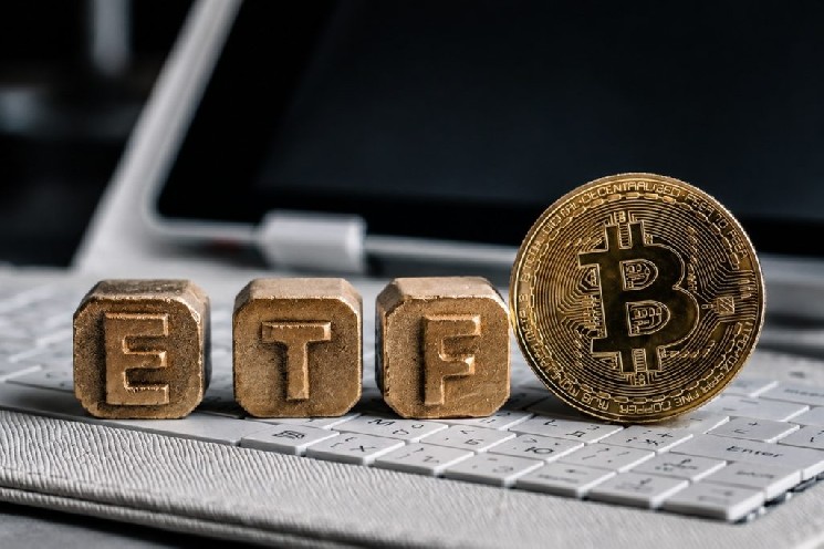 
			Управляющий компании Trezor заявляет, что спотовые ETF на bitcoin и альткоины представляют длительные опасности		