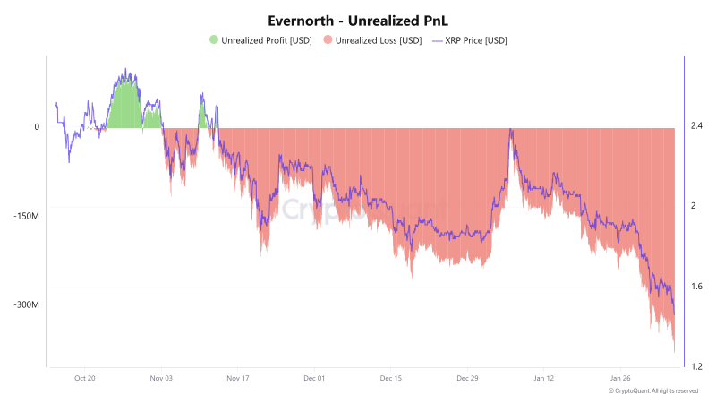
			Убытки Evernorth в XRP превысили $380 млн		